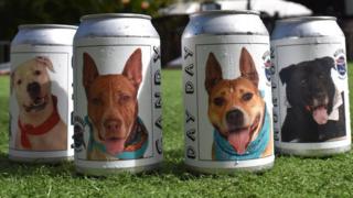 Photo of beer cans with dog photos on it
