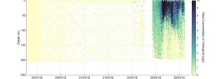 Graph showing increase in chlorophyll