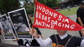 Bebas daging anjing