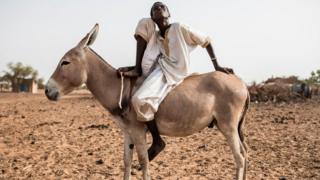 A young Fulani herder sits on his donkey in the village of Mbetiou Peulh on May 29, 2020.