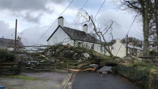 Coeden wedi syrthio ar draws stryd