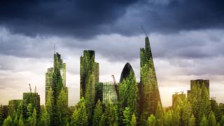 Cities with forest in foreground