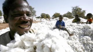 Burkina : plus de 14 milliards de FCFA pour sauver la filière coton
