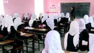 نجونې