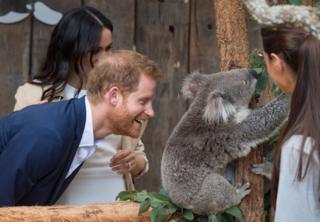 Prince Harry, the Duke of Sussex and Meghan, the Duchess of Sussex meet a koala called Ruby during a visit to the Taronga Zoo on October 16, 2018 in Sydney, Australia.