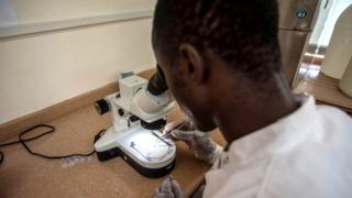 Mu mwaka ushize, Afurika yihariye 92% by'abarwayi ba malaria ku isi