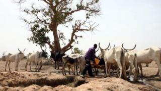 Fulani darandaran