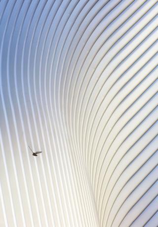 Hufton and Crow Photography