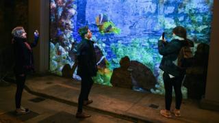 Lumen Festival