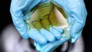 Una persona con guantes sujeta aceite.