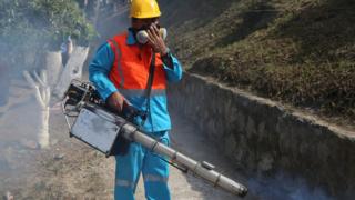 Fumigator in El Salvador