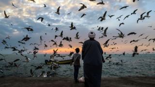 آرامش در شمال/ عکس عباس حیدری