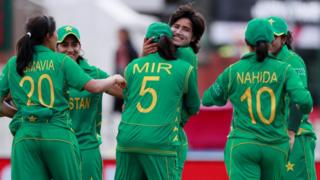 کرکٹ