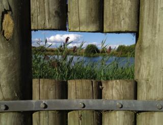 Plants and a river viewed through a hole in the fence