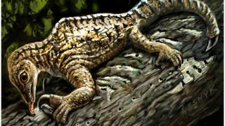 Drepanosaurus