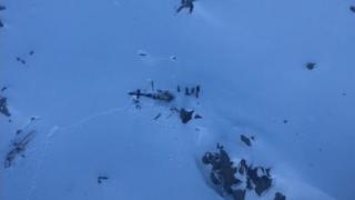 Crash site image in the Italian Alps, January 2019
