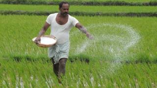 యూరియా కొరత తెలంగాణ రైతులు వ్యవసాయం