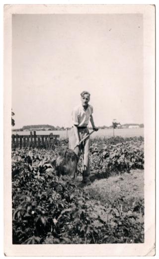 Gerald Selby on his allotment