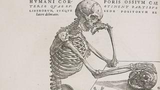 5 partes do nosso corpo que até pouco tempo não sabíamos que existiam 5 partes do nosso corpo que até pouco tempo não sabíamos que existiam