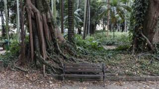 Banco do parque Jardim da Luz, no centro de São Paulo, onde dezenas de mulheres trabalham como prostituta