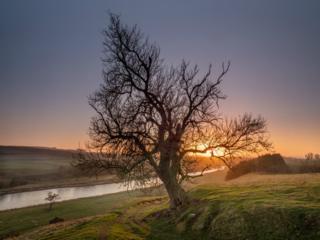 River Tweed near St. Boswells