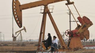 PetroChina'nın piyasa değeri hükümetin ekonomik politikalarından etkilendi.
