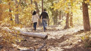 Una pareja camina por un bosque