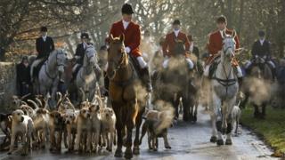 Fox hunting