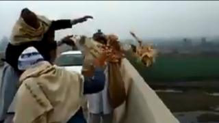 مرغیاں