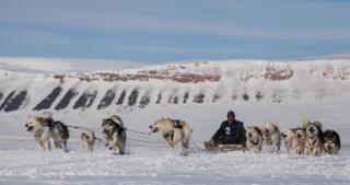 Huskies pulling a sledge