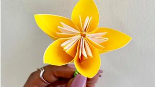ኣብ መዓልቲ ፍቑራት ንደቂ ኣንስትዮ ዝወሃብ ፍሉይ ውህብቶ