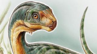 Chilesaurus