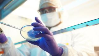 Cientista fazendo pesquisa em laboratório