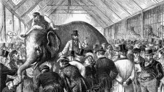 An engraving showing a Victorian auction of an elephant