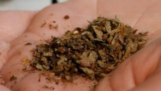 the drug known as spice