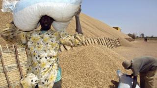 L'huile produite au Sénégal provient essentiellement des graines d'arachide.