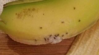 কলার ওপর মাকড়শার ছানা