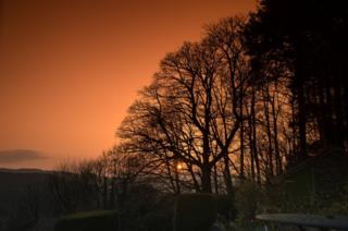Sunset behind a silhouette of trees