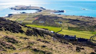 ynys enlli
