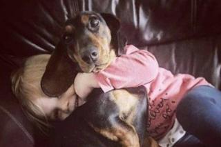 Larry the dog