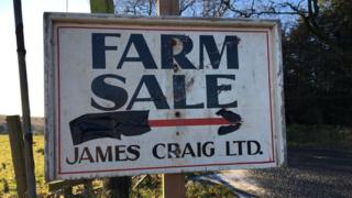 farm sale sign