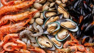 Shellfish
