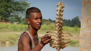 bone collector
