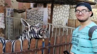 Foto ao lado de possível burro pintado