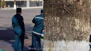 ЙПХ ходимлари хизматда.