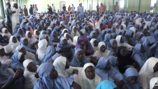 Ụmụakwụkwọ Dapchi