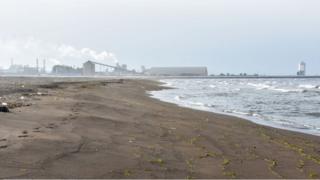 Oasis Beach