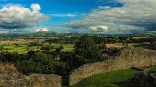 maldwyn