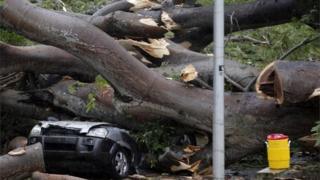 A car crushed by a tree which killed a young boy in Panama in Tropical Storm Otto, 22 November 2016