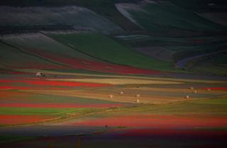 A view of fields of flowers in Castelluccio di Norcia near Perugia, Italy